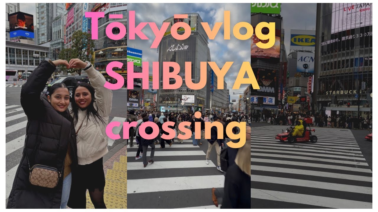 WORLD FAMOUS ZEBRA 🚸CROSSING SHIBUYA TOKYO 🗼