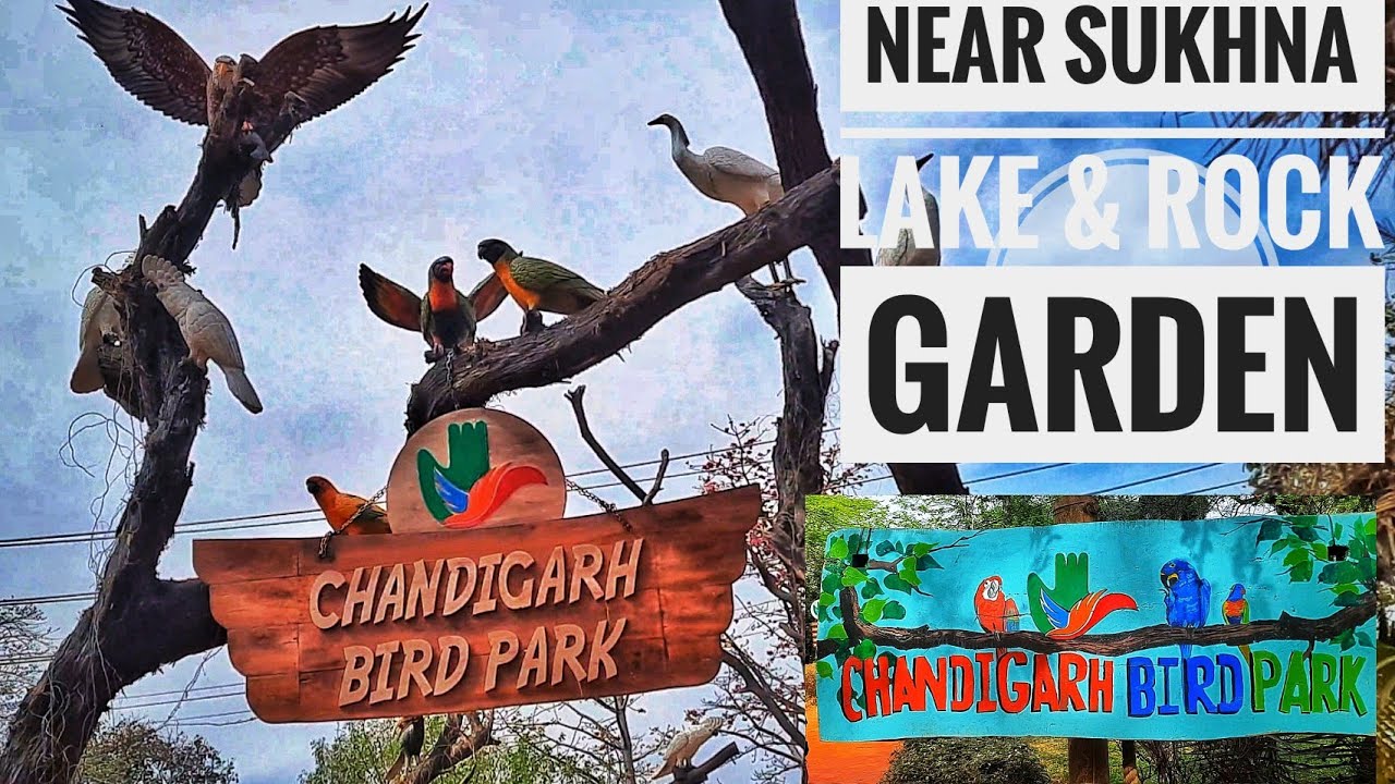 CHANDIGARH BIRD PARK || NEAR SUKHNA LAKE AND ROCK GARDEN || VLOG || CREATIVE HAWK ||