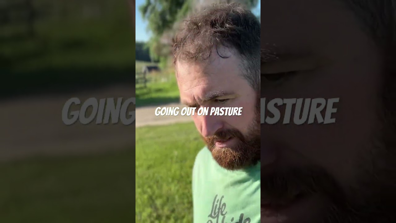 Chickens on Pasture! #farming #farming101 #pastureraised #regenerativeagriculture #farmvlogger