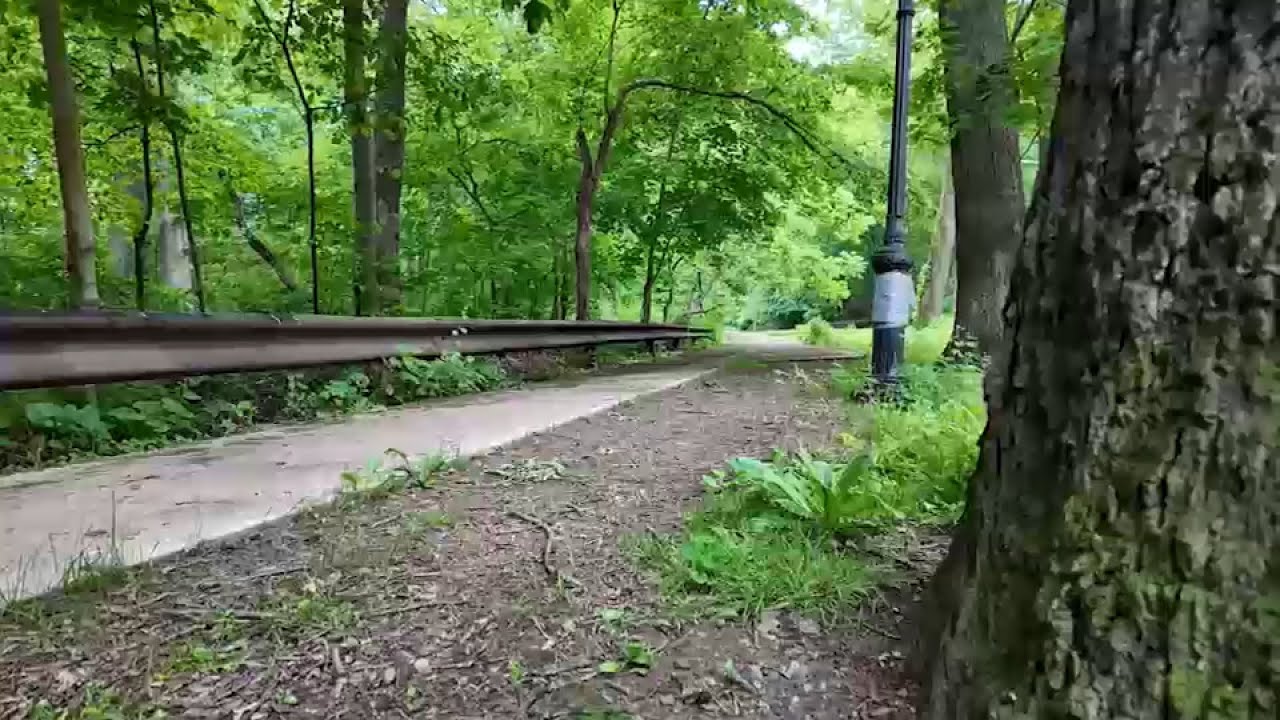 11-year-old girl pulled off bike, sexually abused by stranger: NYPD