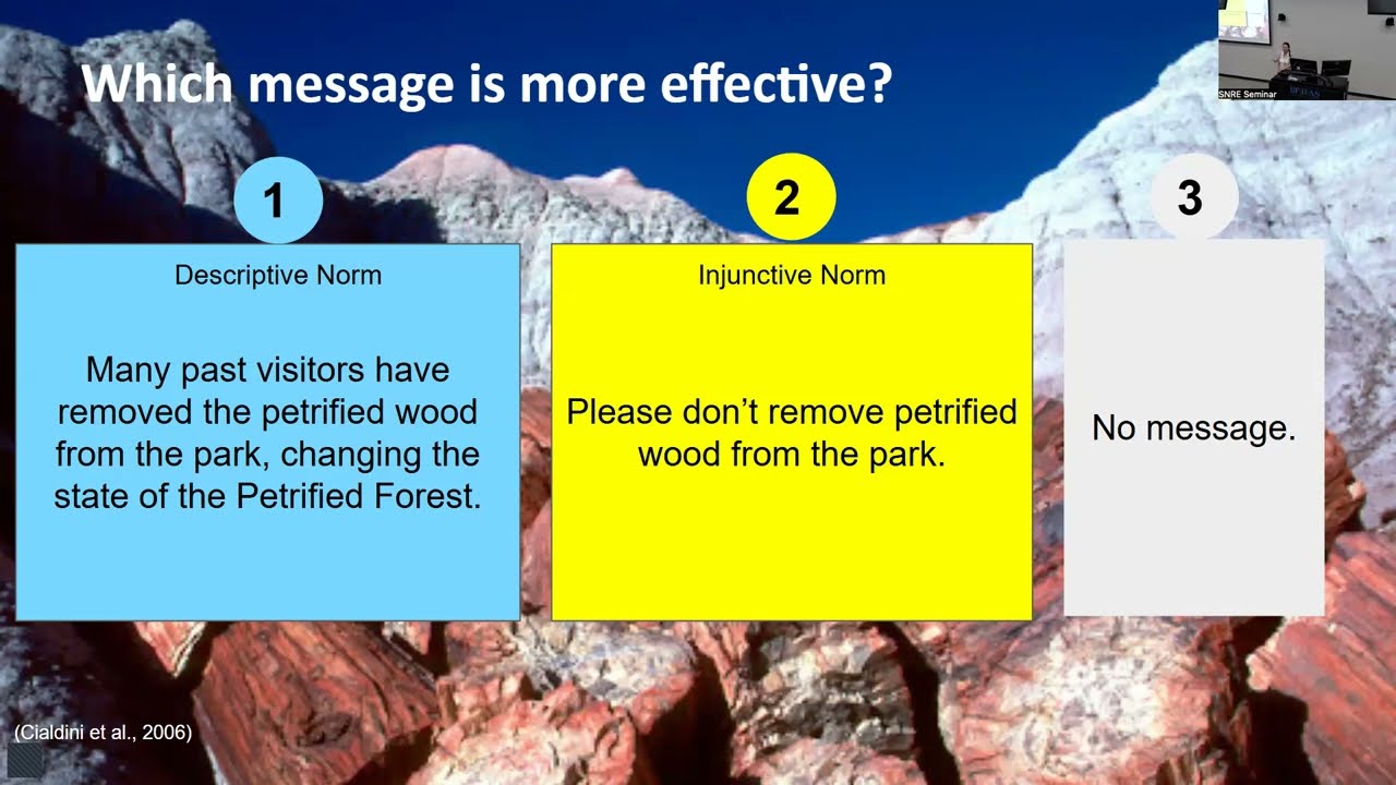 Exploring Online Global Learning in Environmental Education
