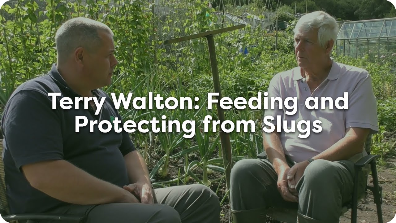 Terry Walton - How to Protect From Slugs and Feed Your Plants