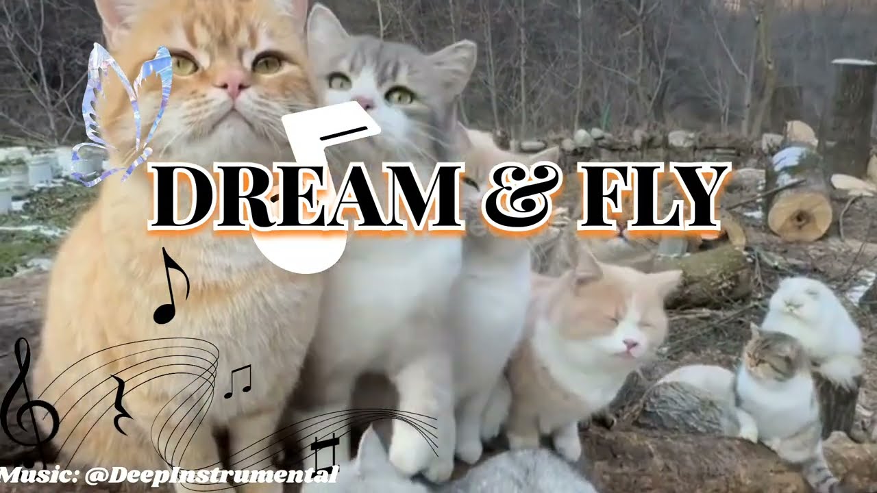 Cat ASMR for Sleep 😴 Piano Lullaby & Nature Sounds