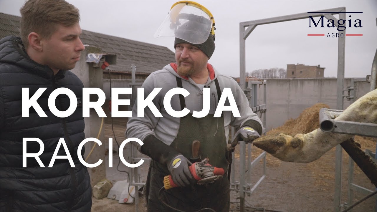Profesjonalna korekcja racic. Doradzamy jak dbać o zdrowe racice! [MAGIA AGRO]