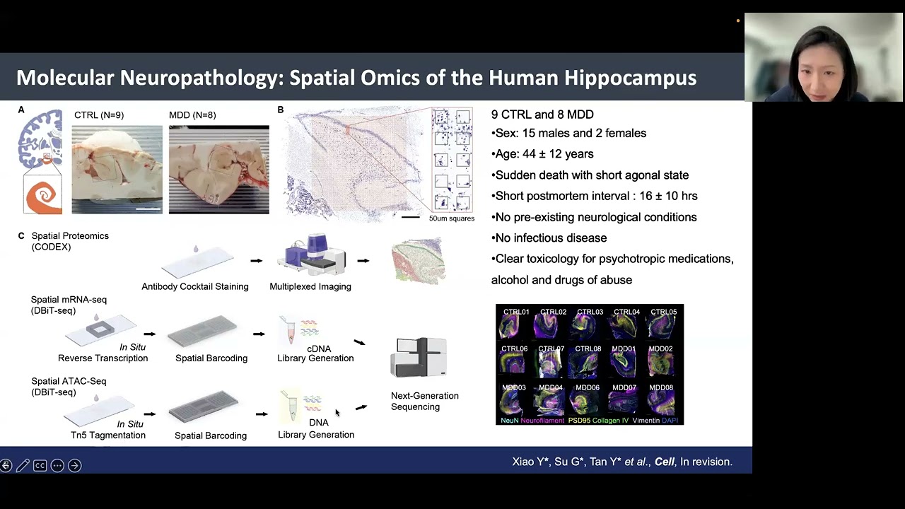 Spatial Omics Mapping of Human Brain Disorders