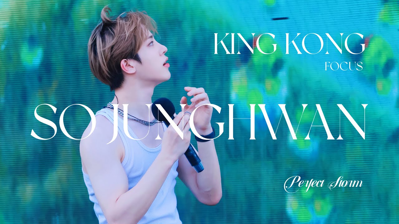 2024/7/27 부산워터밤 소정환 킹콩 직캠 SO JUNGHWAN KINGKONG FOCUS FANCAM TREASURE WATERBOMB 트레저 무대 - PerfectStorm