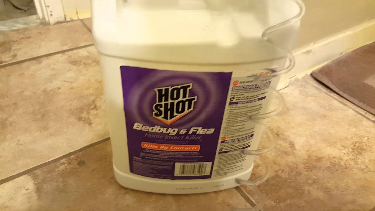 Hot Shot Bed Bug Killer: Does it work?