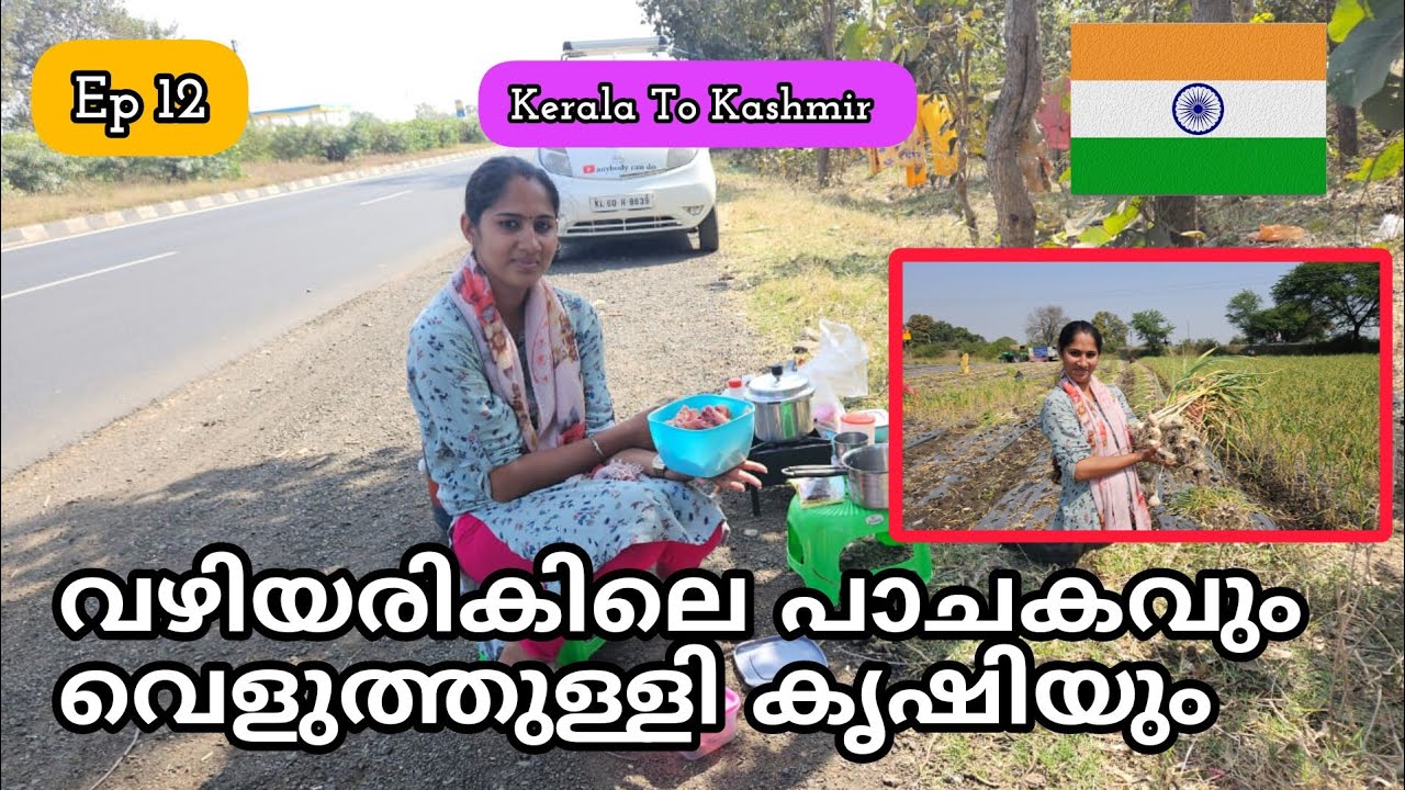 വെളുത്തുള്ളി കൃഷി കണ്ടിട്ടുണ്ടോ || Ep 12 || Kerala To Kashmir || anybody can do ||