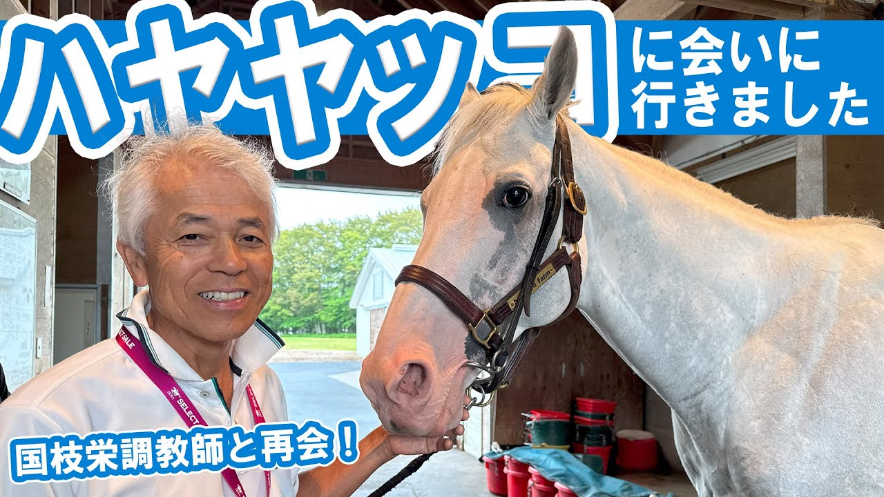 【国枝栄調教師と再会！】白毛のアイドルホース・ハヤヤッコに会いに行きました