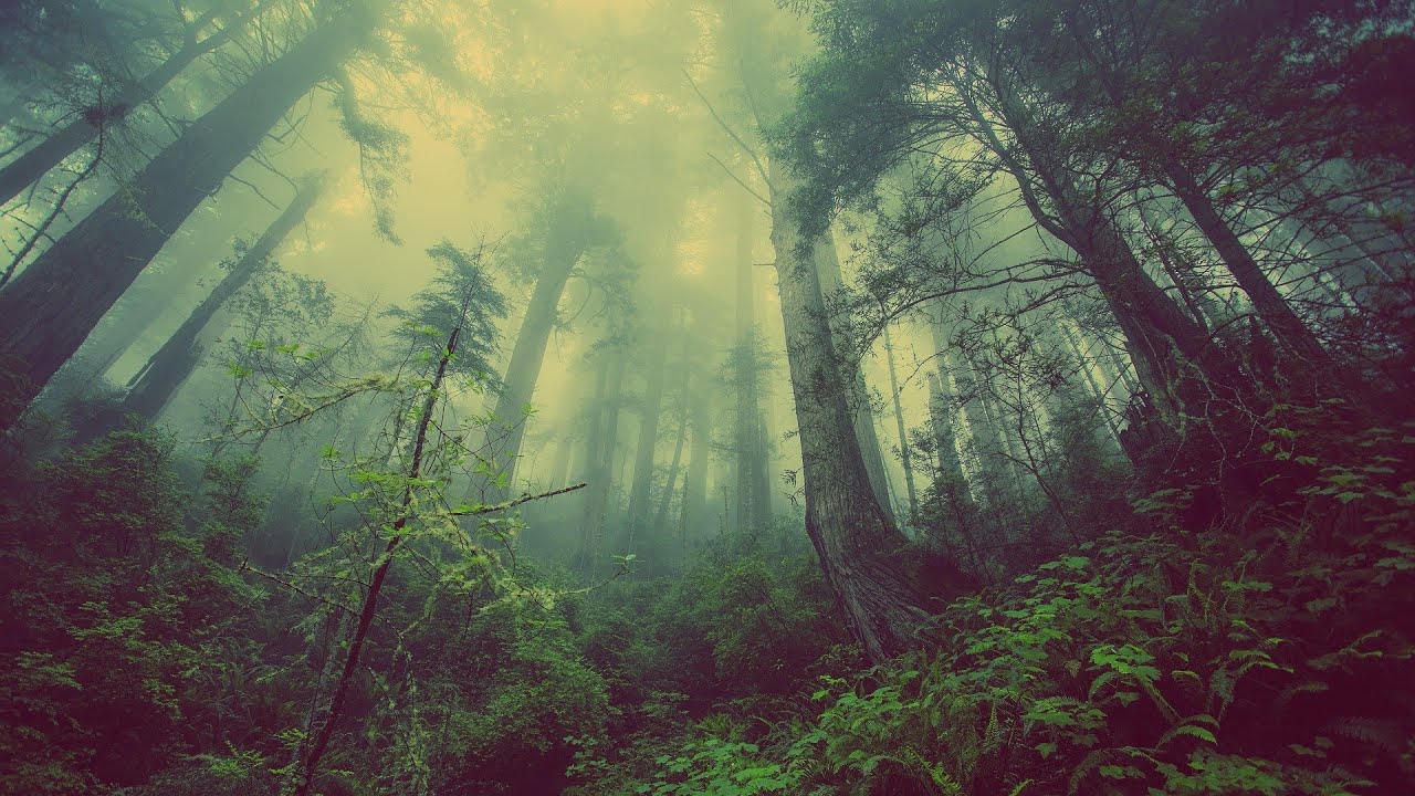 MP 8: Vol. 71 Ambient Calm Music #musicproductions8 #ambientcalm #rockandroll #binge