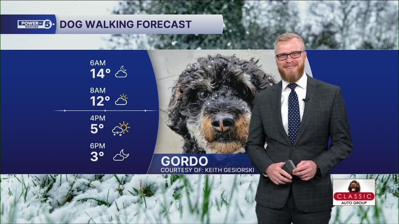 Frigid Friday Dog Walking Forecast