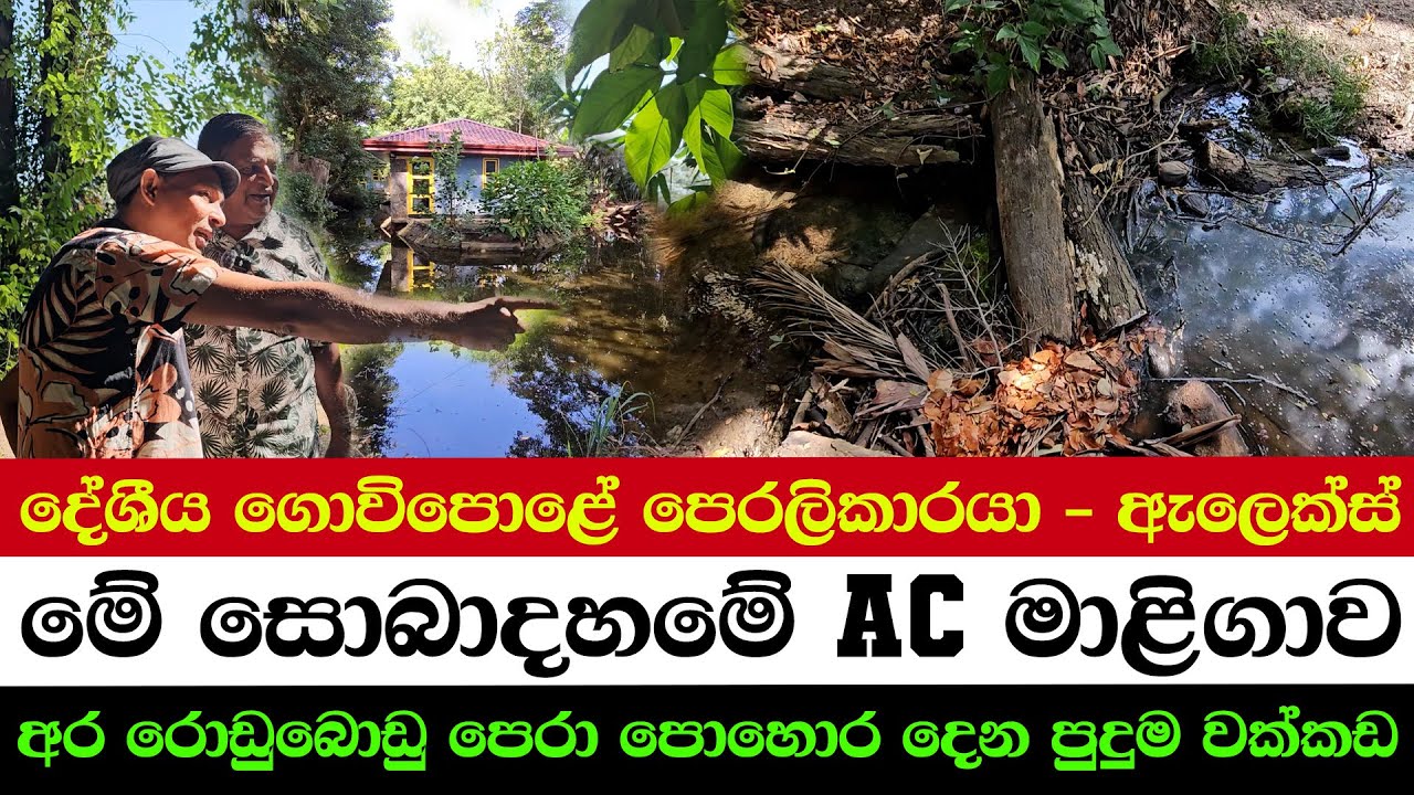 Local Farm Hero – Alex’s Story | Nature’s Luxury Cooling Home