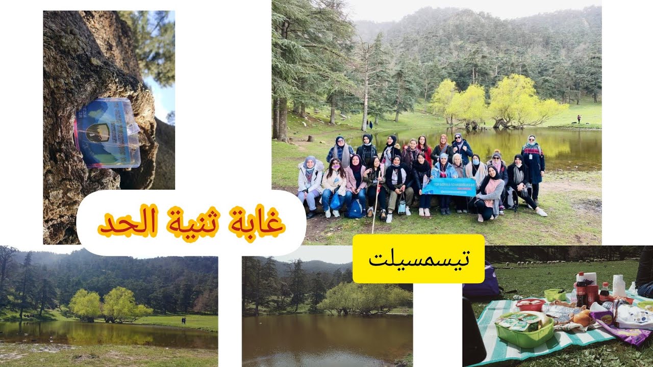 جولة إلى🏞️ روعة وجمال غابة ثنية الحد ولاية تيسمسيلت 🇩🇿 إعطاء مفاهيم حول منظمة الرحلة🚌  top sortiesdz