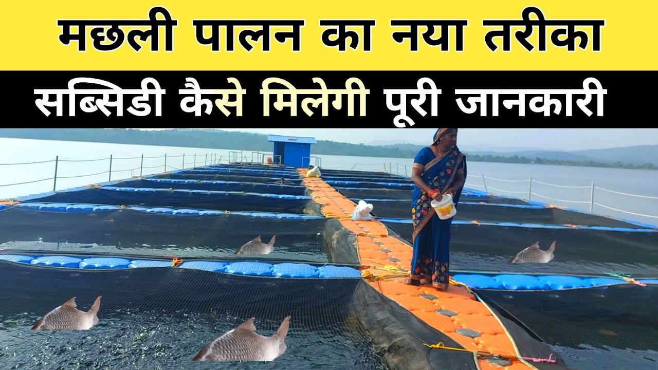 Cage Culture Fish Farming | Fish Farming New Technique | New Business Idea 2023