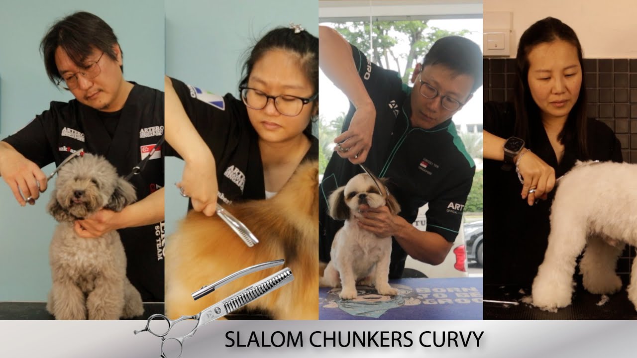 ARTERO Slalom Chunkers Curvy by Creative Team Video