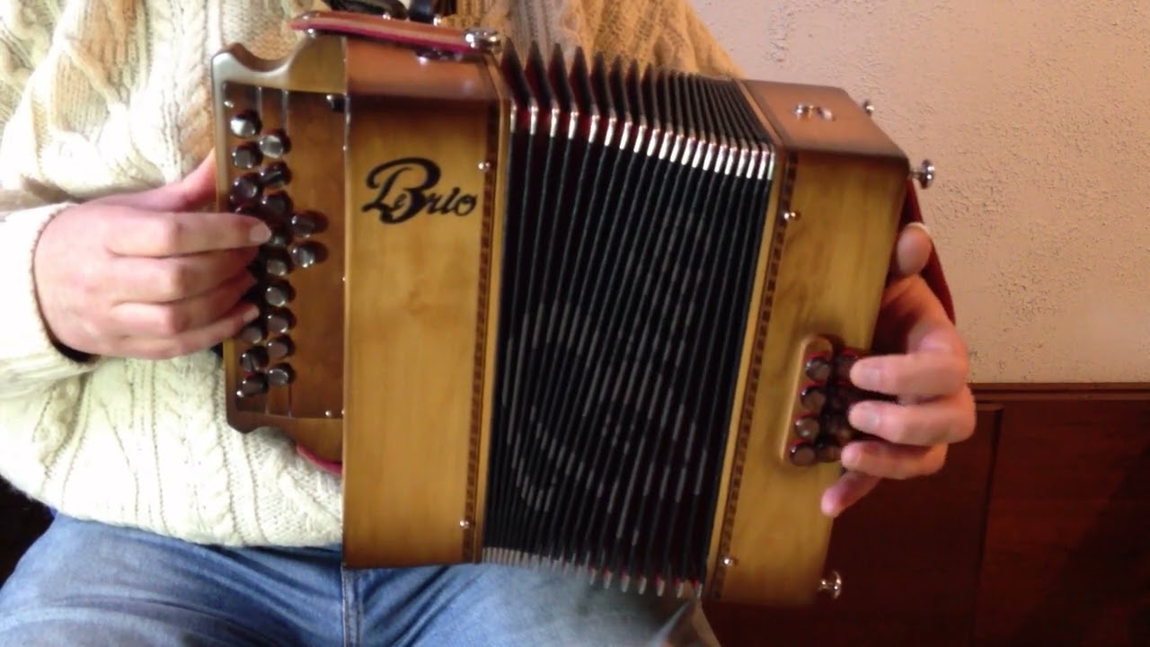 Rock n' roll avec un Accordéon Diatonique 21 Boutons  8 Basses