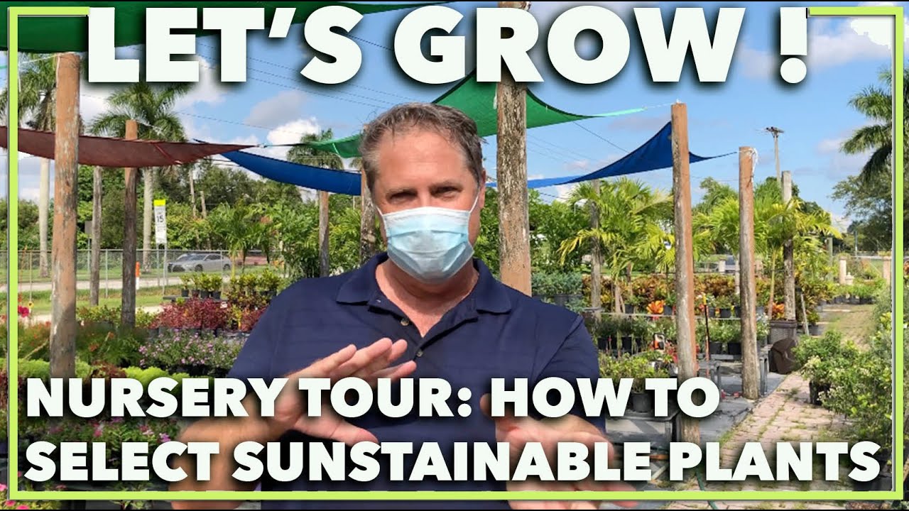 SOUTH FLORIDA NURSERY TOUR:  A Landscape Architect's guide on how to select the best plants