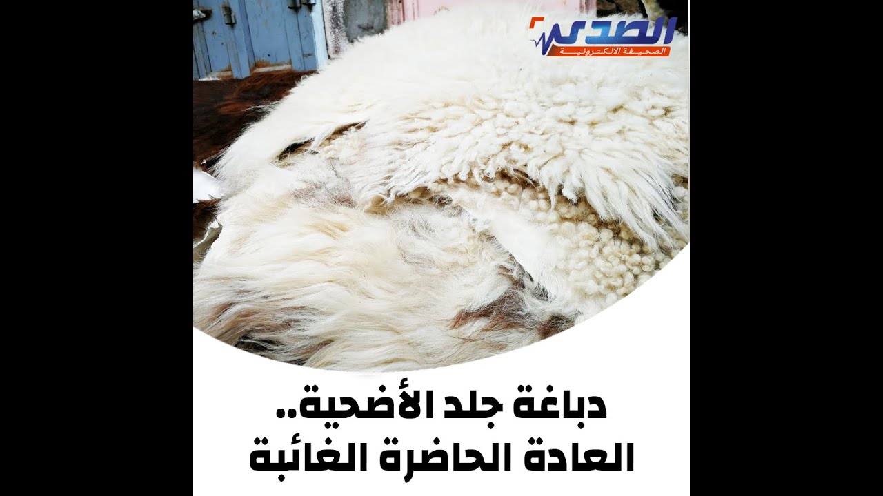 دباغة جلد الأضحية.. العادة الحاضرة الغائبة