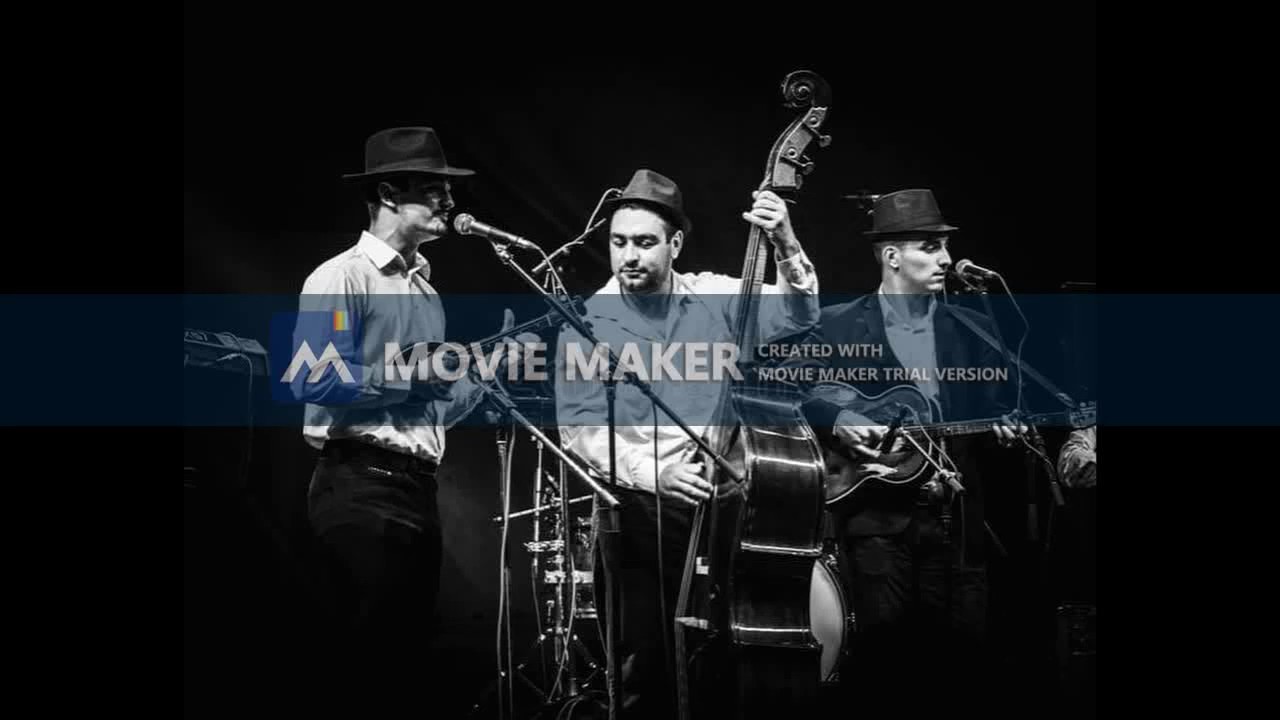 Dijeta - Da ne umre tambura - Šašinci