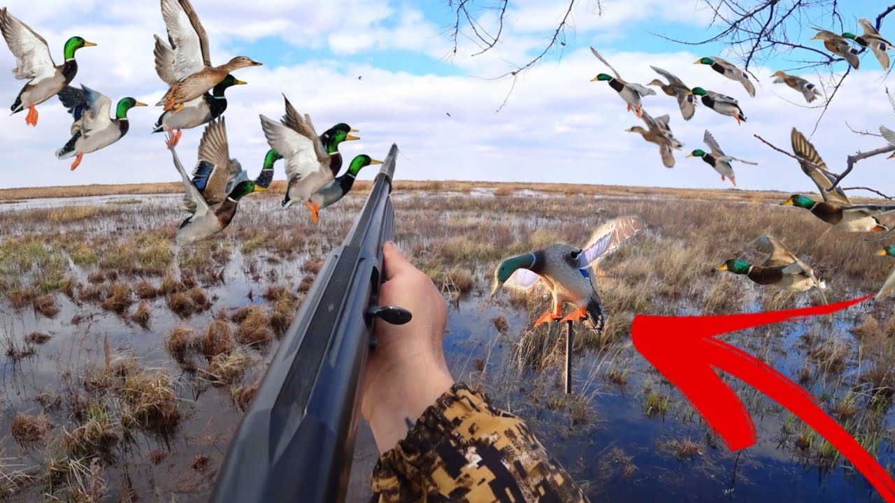 ОХОТА НА СЕЛЕЗНЯ! ДА СКОЛЬКО ЖЕ ИХ ТУТ?