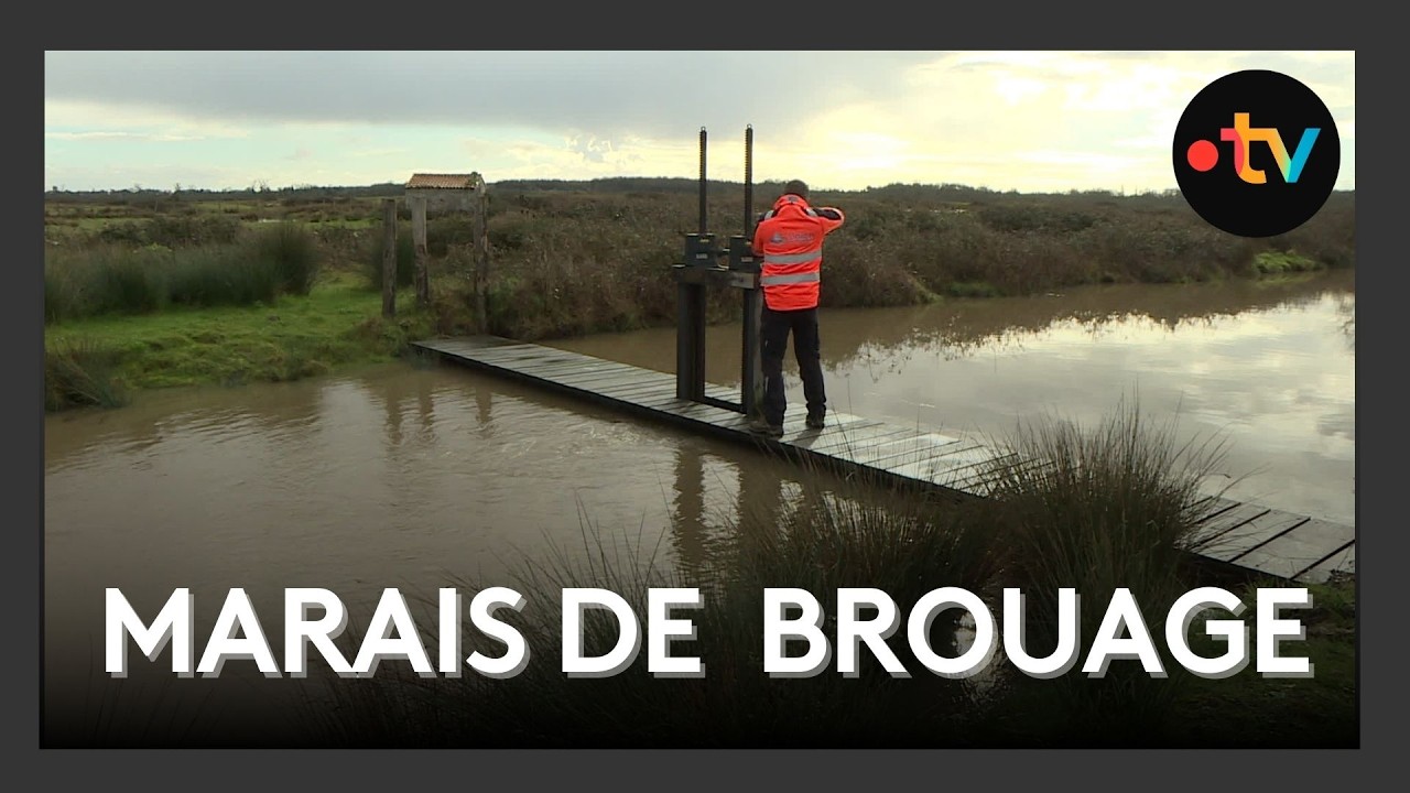 Le marais de Brouage, un rempart naturel face aux inondations