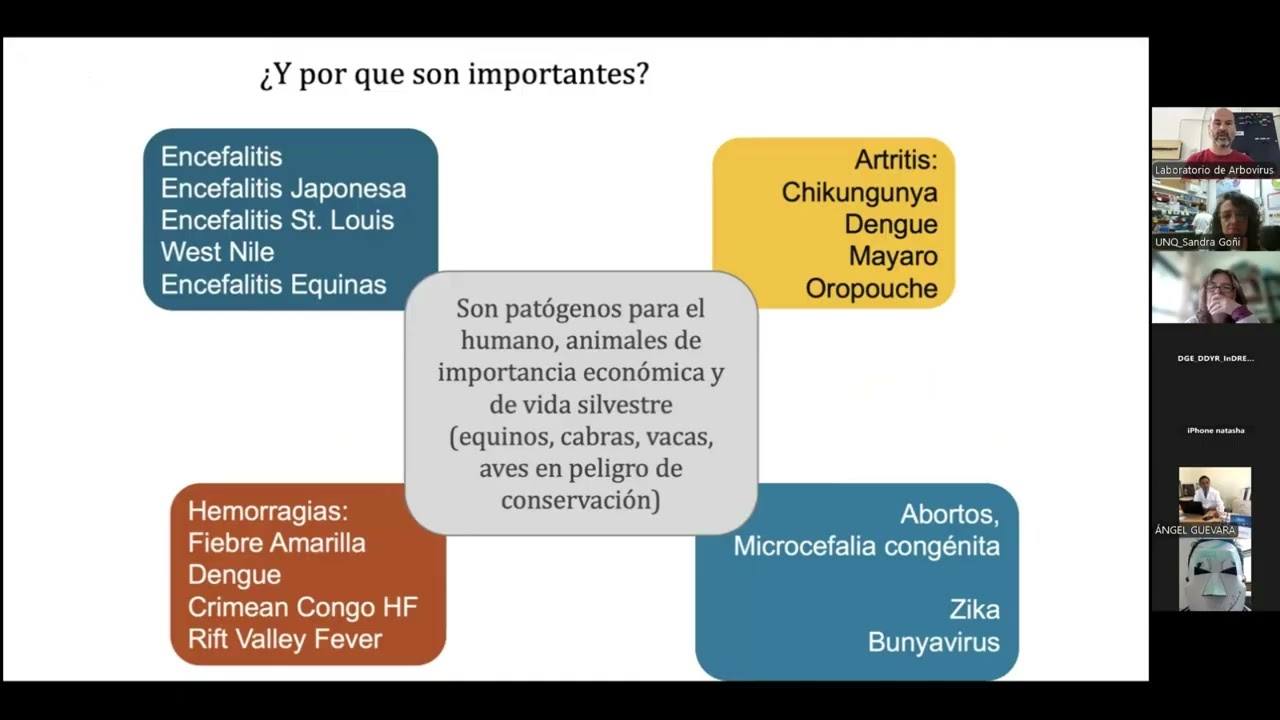Seminario Noviembre