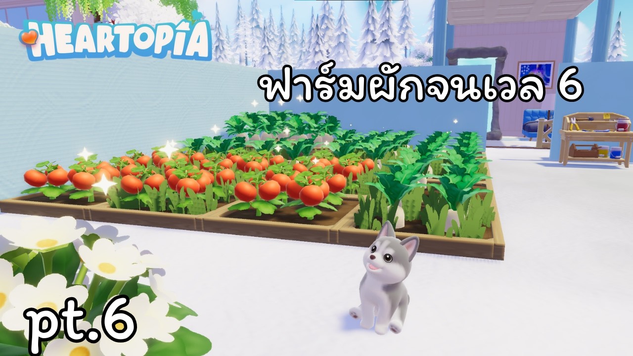 🌱 Cozy AFK Farm Stream | เก็บผักทุก 15 นาที pt.6【Heartopia】