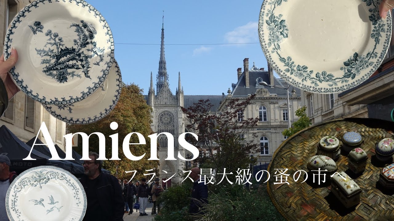 France vlog｜フランス最大級の蚤の市、Amiens