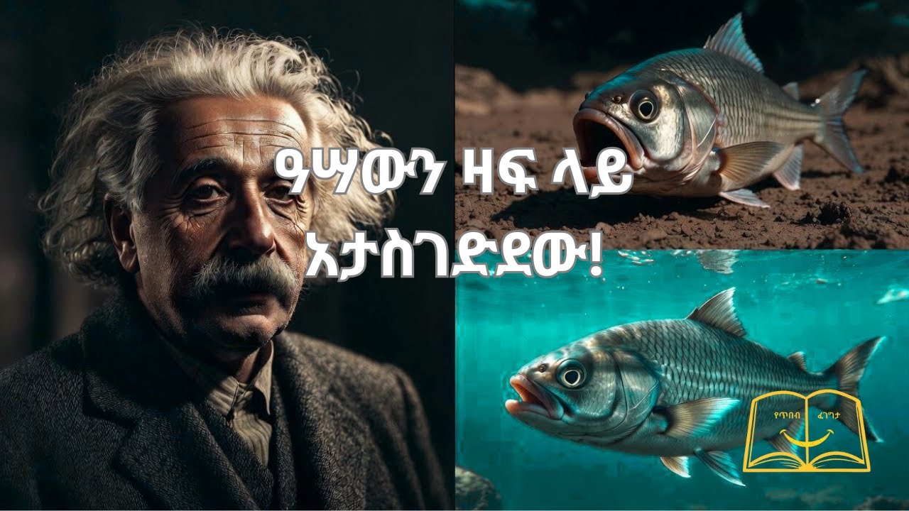 ባልተፈጠርክበት ሜዳ ላይ አትሩጥ! | የዓሣውና የዝሆኑ አስገራሚ ታሪክ