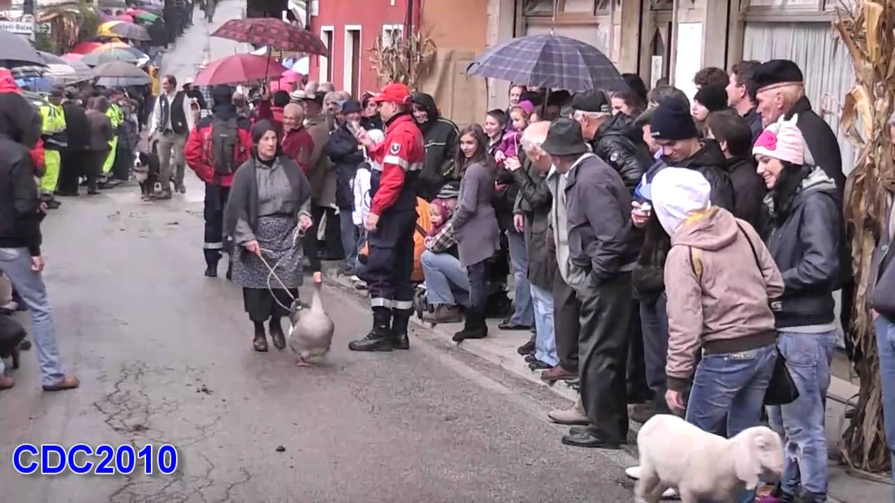 Il ritorno dal bosco 2010 TERZA ULTIMA PARTE  Valdastico (Vi)