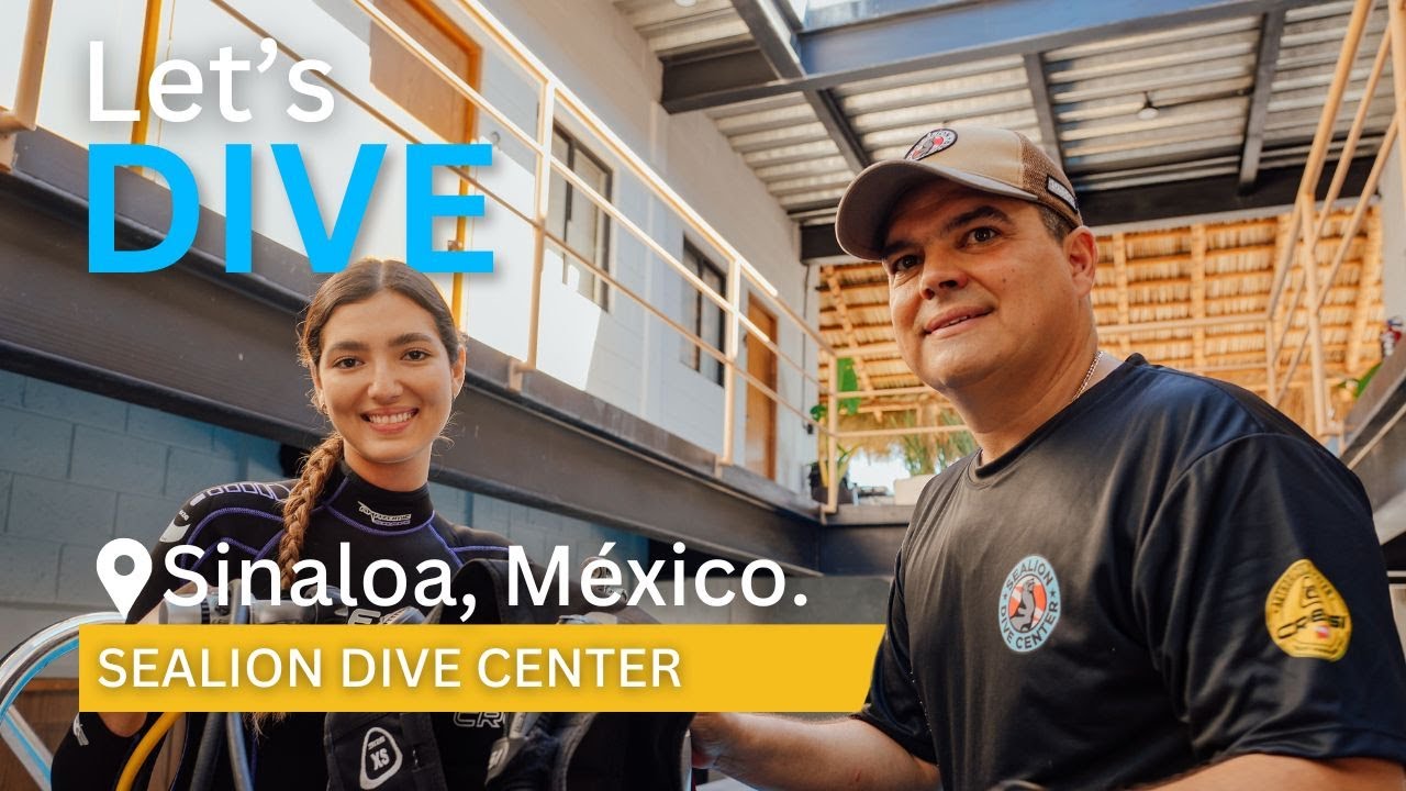 Sealion Dive Center | Buceo en el Mar de Cortés | Sinaloa