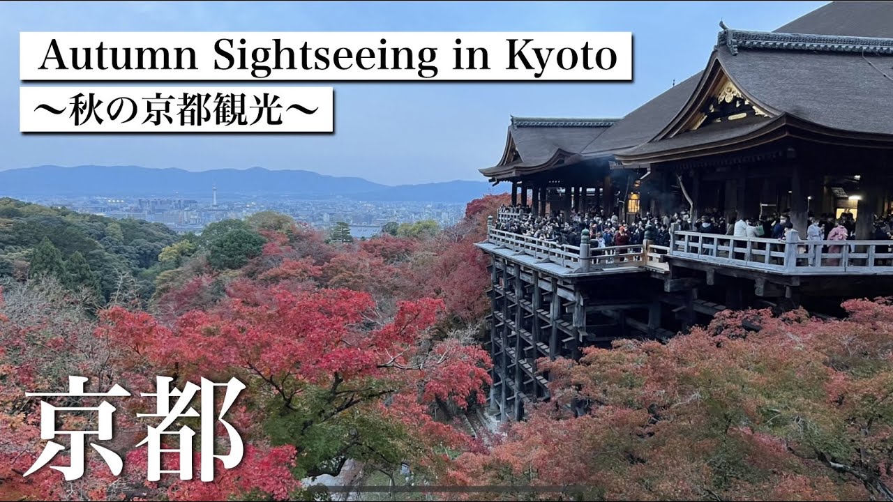 Japan, Kyoto/Kyoto in autumn, popular sightseeing spot🍁/Kiyomizudera/Japanese Style Starbucks etc.