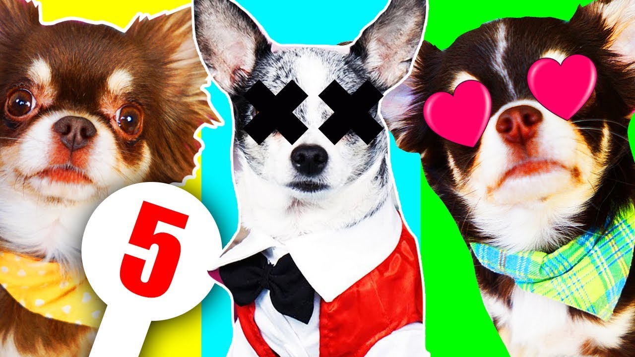 ЮМИ СКУЧАЕТ ПО ИЛАЮ! ЭЙВАН УХОДИТ С ЮТУБА! МИША И ПОКЕМОН ЮМИ ЧУ РЕАКЦИЯ НА КЛИП СОФИ ДЕНЬ РОЖДЕНИЯ