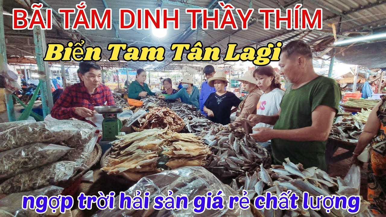 11-4 Ngợp trời du khách đỗ bộ bãi tắm Dinh Thầy Thím biển Tam Tân Lagi Bình Thuận quá trời hải sản