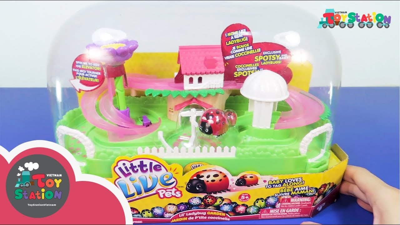 Little Live Pets Ladybug khu vườn Bọ Rùa ToyStation 162