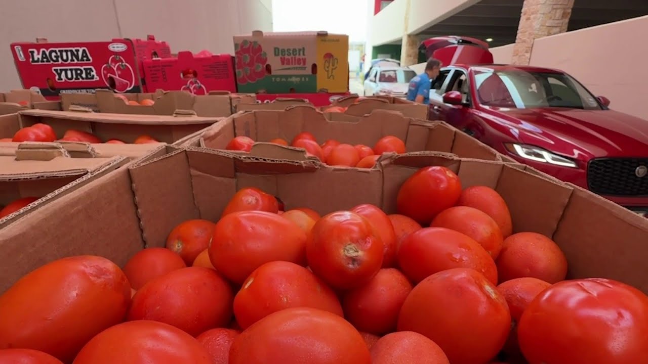 San Antonio Food Bank steps up to fill need amid federal government shutdown