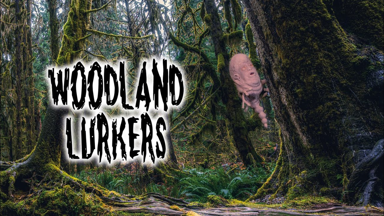 Woodland Lurkers