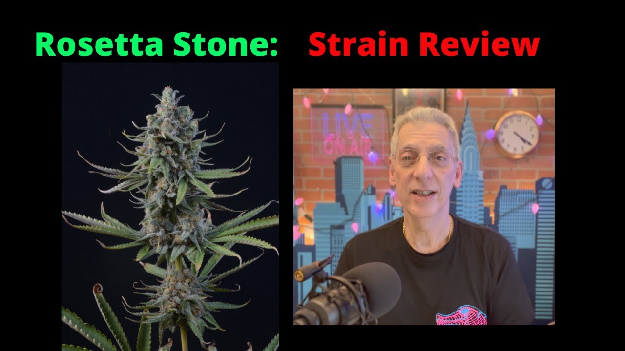 Rosetta Stone from Bros  Grimm Seeds Strain Review