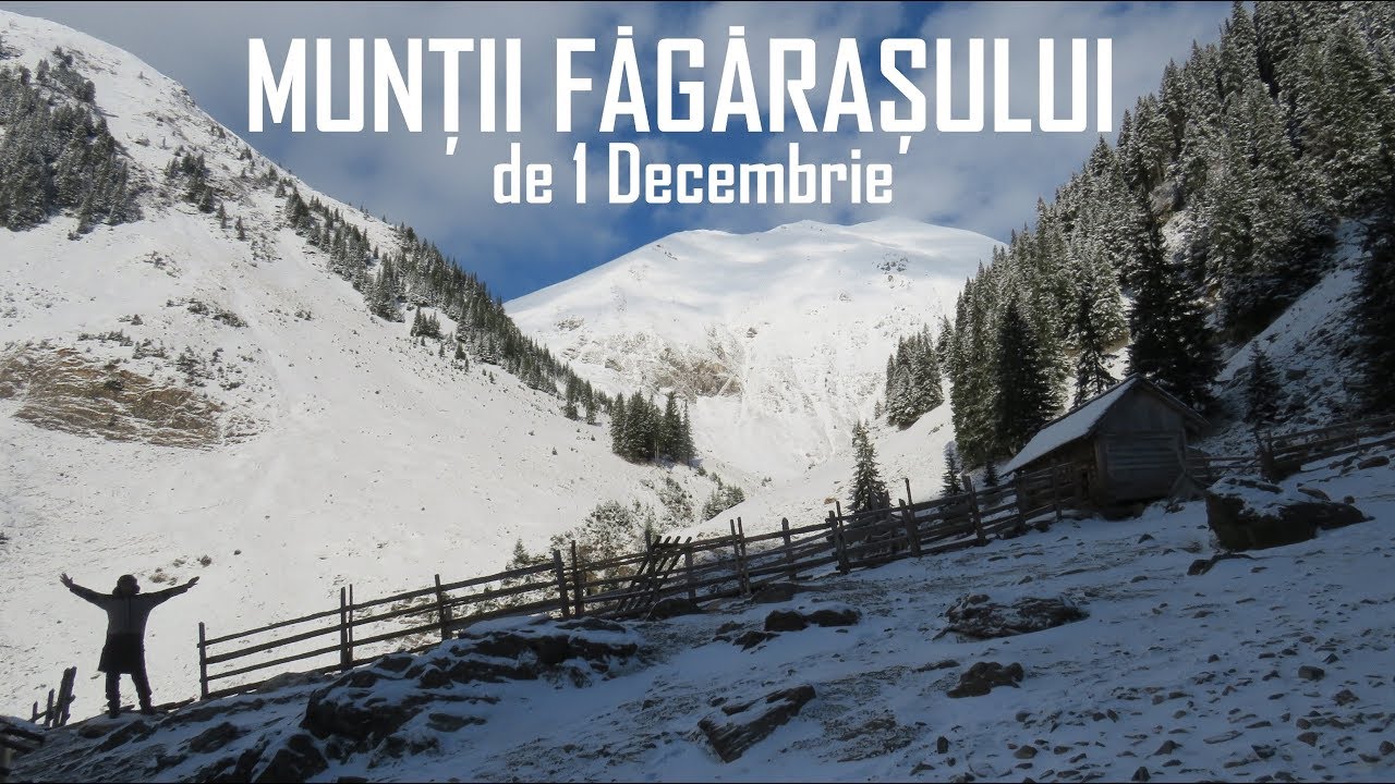 Prima zăpadă ☁❄🗻 Valea Buda - St&acirc;na din Podul Giurgiului 🔥🌄🌞 - Valea Orzăneaua - MUNȚII FĂGĂRAȘULUI