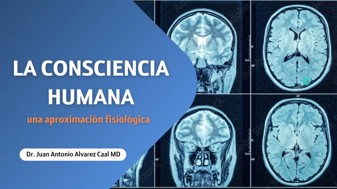 CONCIENCIA HUMANA