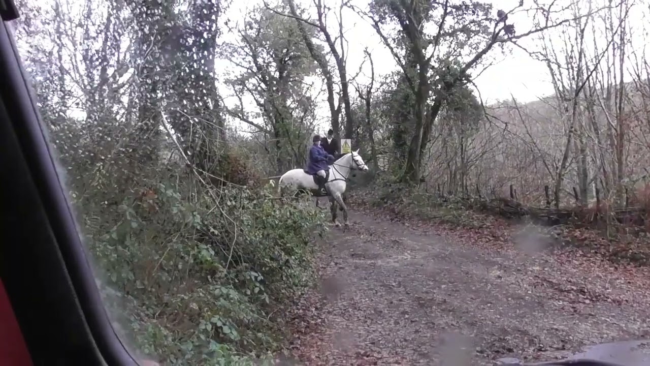 Eggesford Hunt, Northlew, 11.12.2020