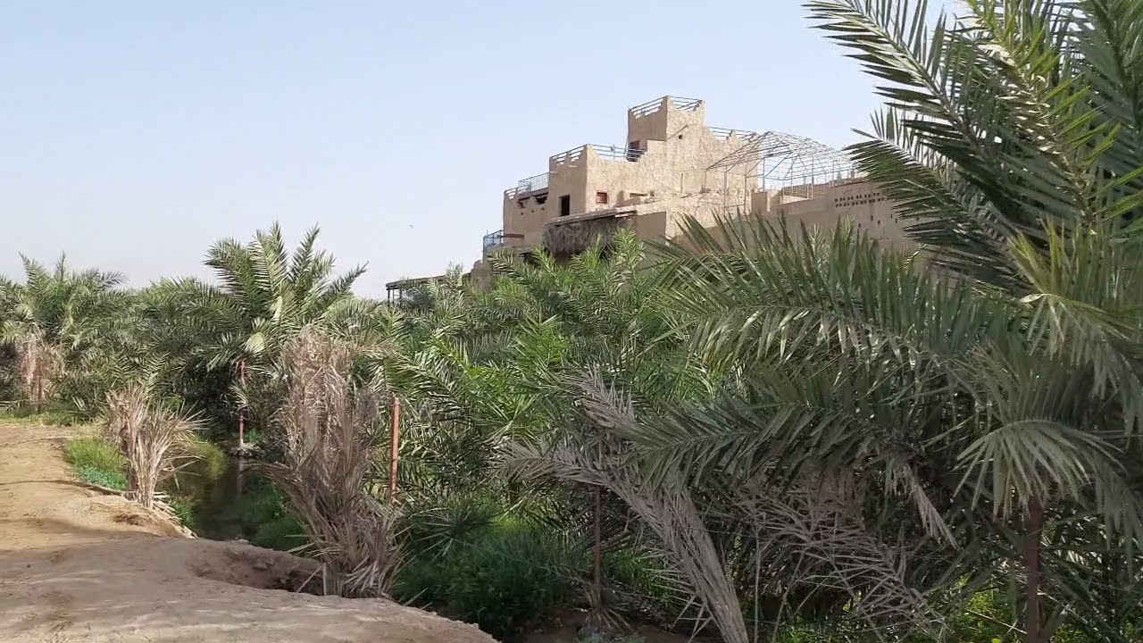 عين الجابرية - ينبع النخل - السعودية