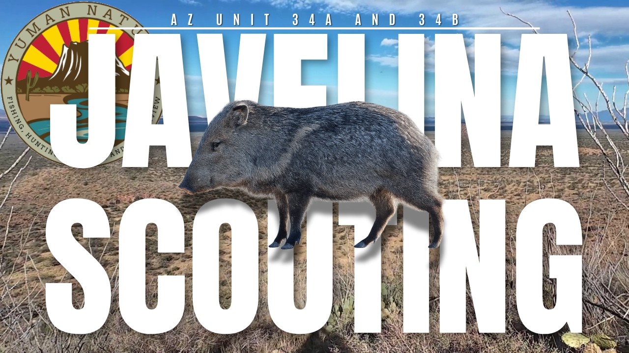 Day 2 Javelina Scouting – Units 34A & 34B | Promising Country but Minimal Sign