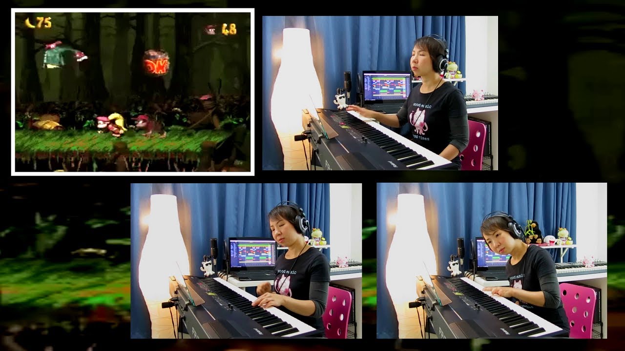 Donkey Kong Country 2 - Barrel Bayou (JemyMusic Cover)