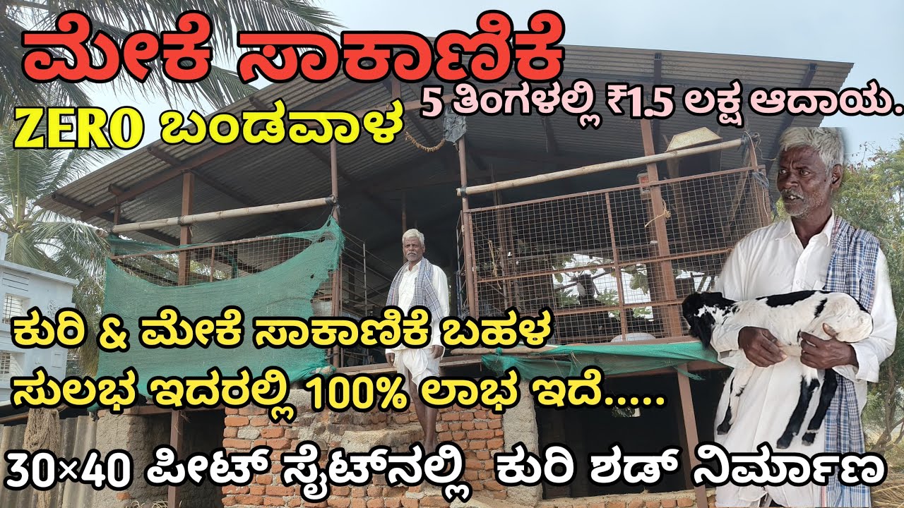 Zero Investment | 20 ಮೇಕೆ  | 5 ತಿಂಗಳಲ್ಲಿ ₹1.5ಲಕ್ಷ ಆದಾಯ | ಲಾಸೆ ಇಲ್ಲ
