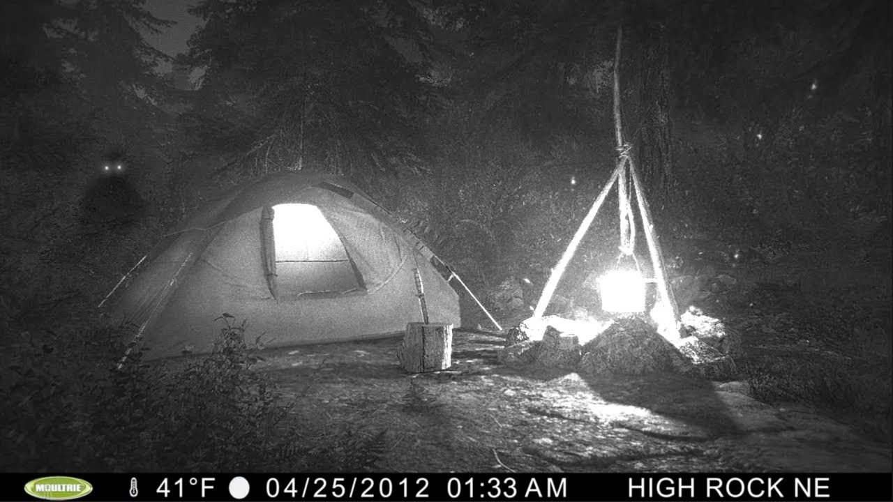 Trail Cam Video - Bigfoot Sounds - 3 hours