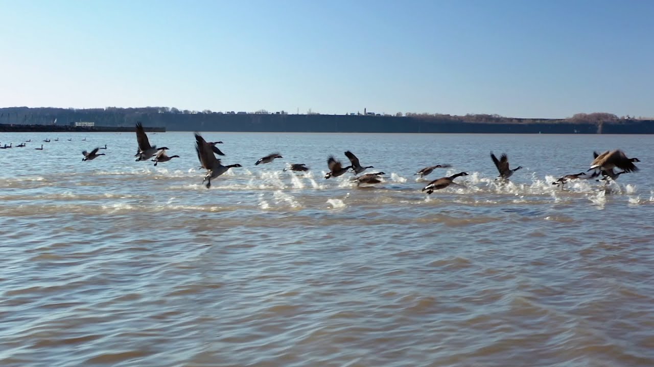 Travel the country on Canada's beautiful rivers | #HelloSpringCBC
