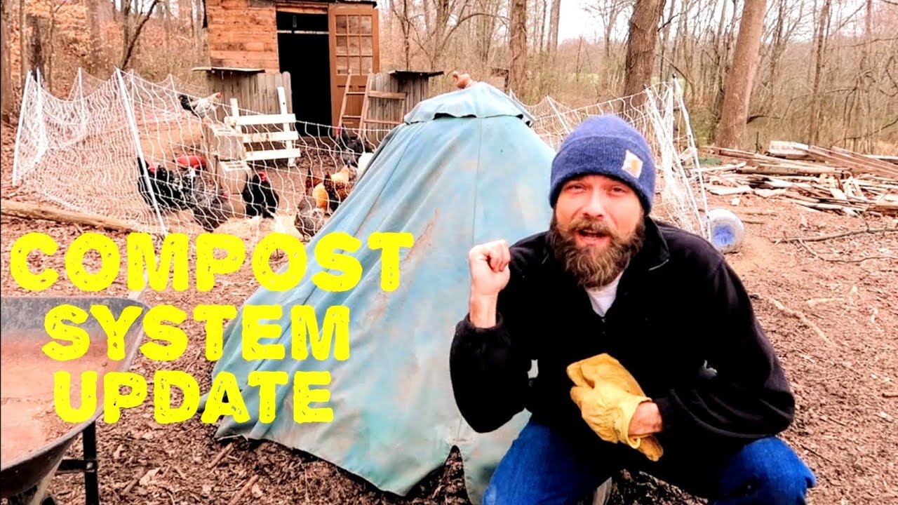 Chicken Composting System Updated