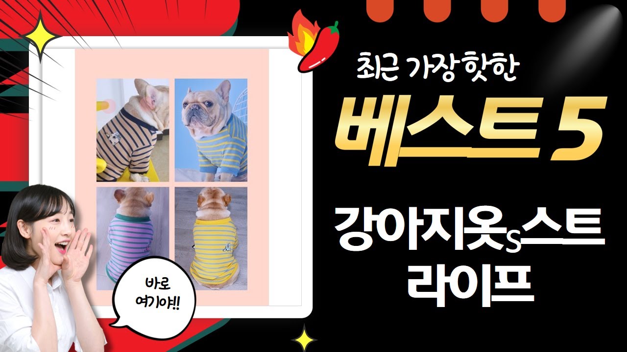 강아지옷S 스트라이프 티셔츠 대.방.출! 봄맞이 산책룩 코디 (S-3XL)