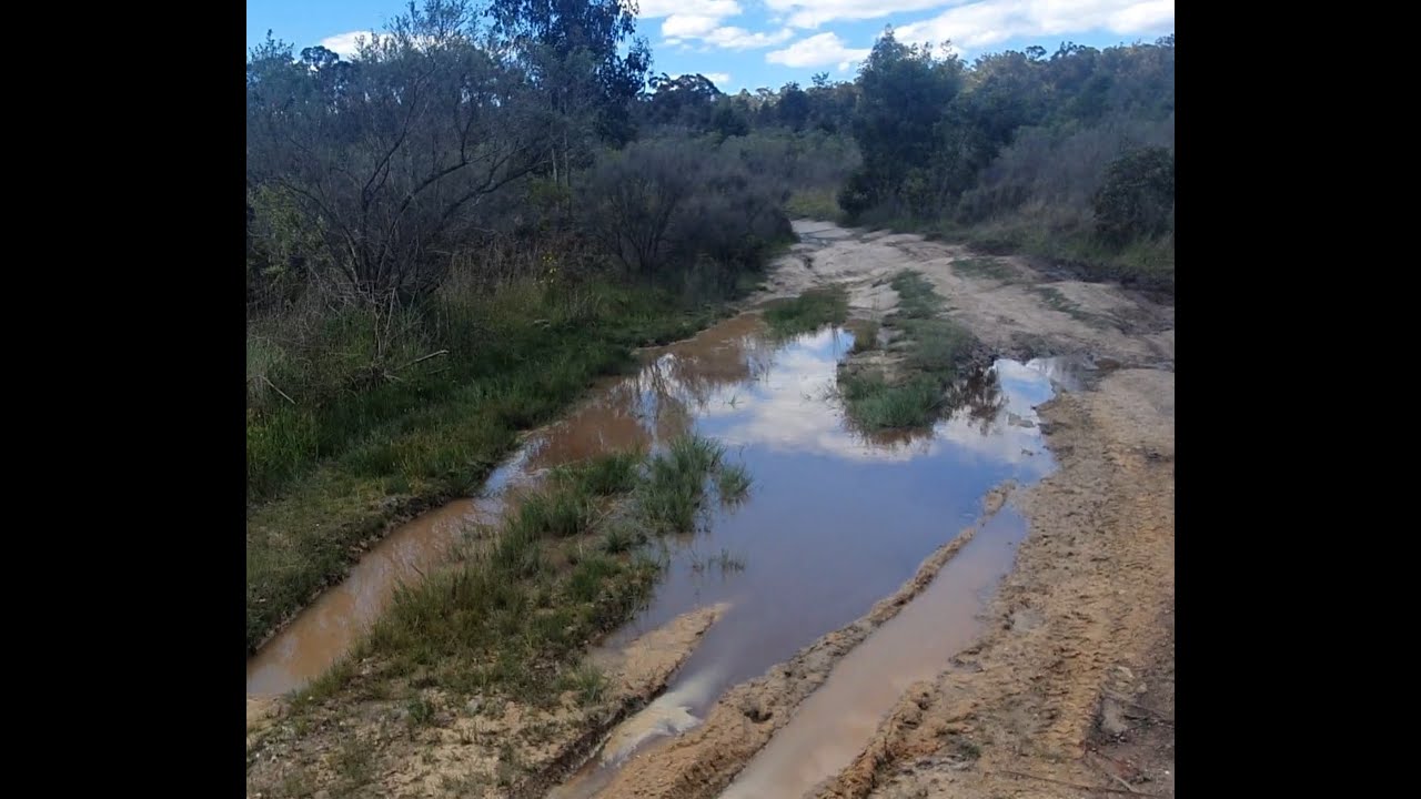 Draining a cursed bog